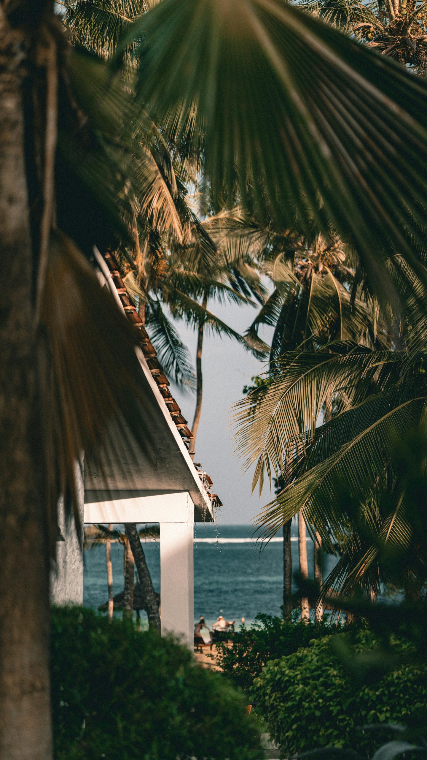 pexels-instaszek-20143803